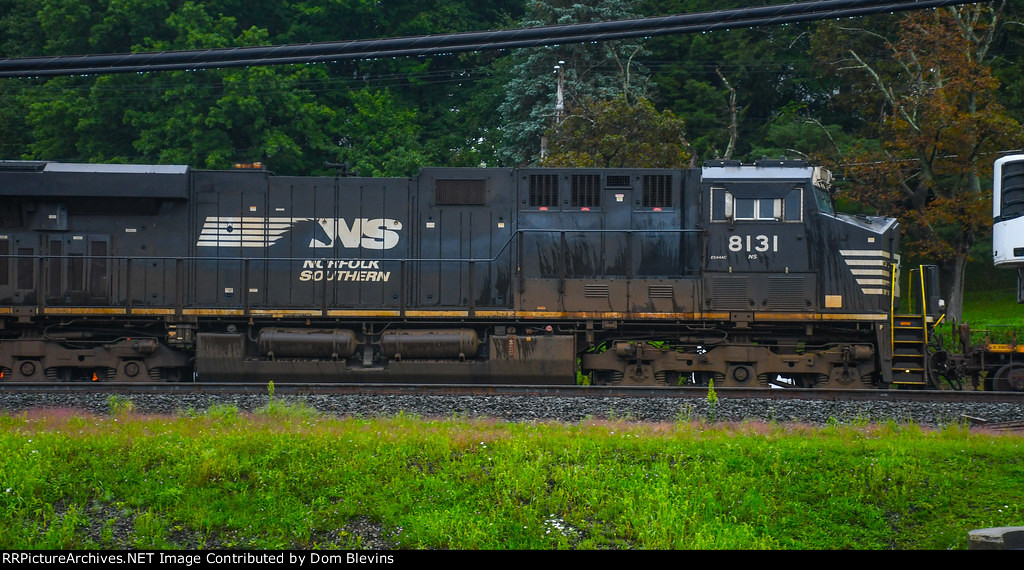 NS 8131